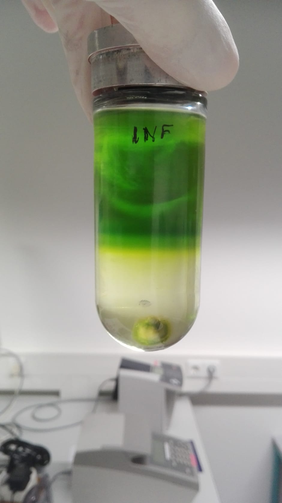 Virusdeeltjes opzuiveren uit ge&iuml;nfecteerde planten.